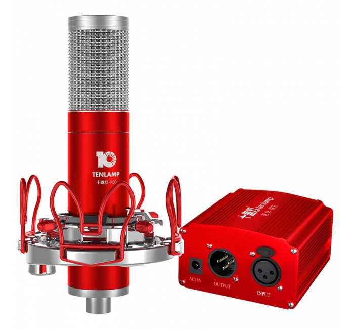 P30大振膜麦克风